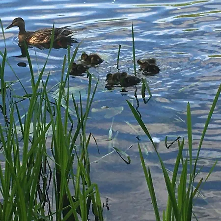 Rust Apartment Oranienbaum-Woerlitz