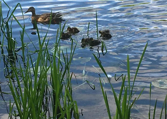 Rust Lägenhet Oranienbaum-Woerlitz